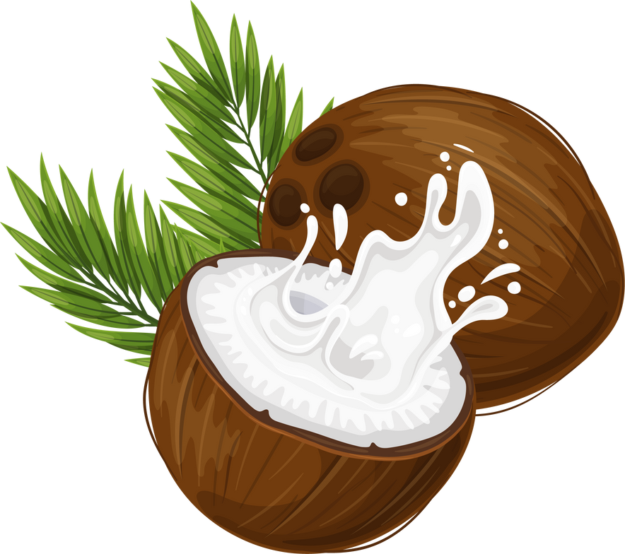 Coconut with Milk Splash