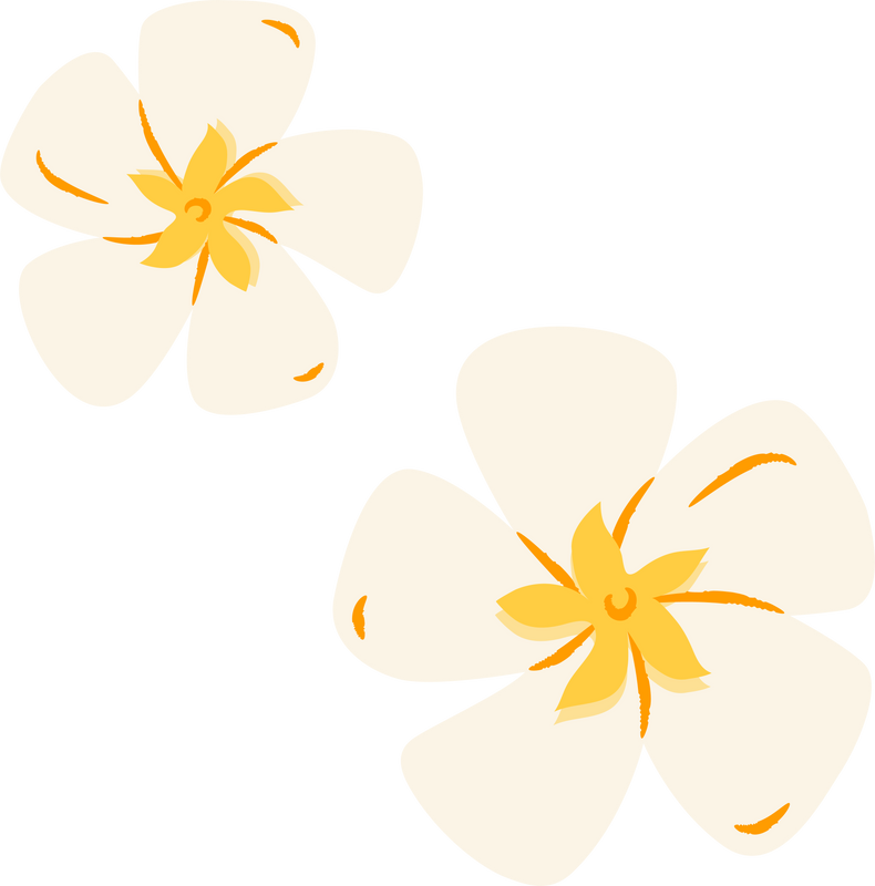 Frangipani Summer Flower Illustration